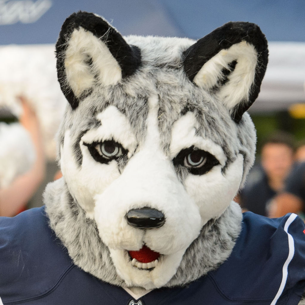 jonathon the husky